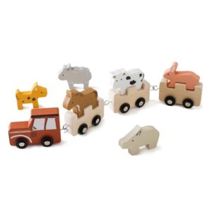 Montessori Wooden Train Toy