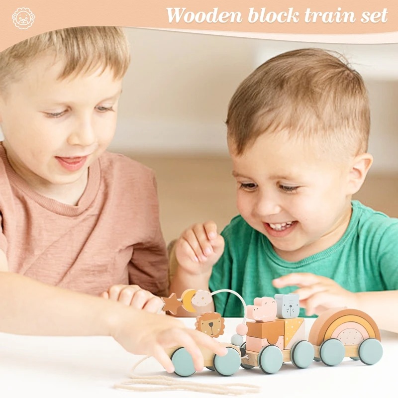 Montessori Wooden Train Toy